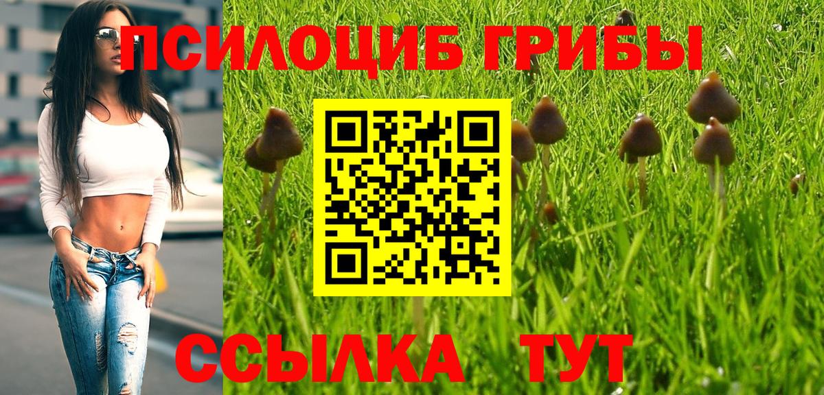 Галлюциногенные грибы GOLDEN TEACHER  Вход с VPN  Псилоцибиновые грибы Cubensis  Елец 